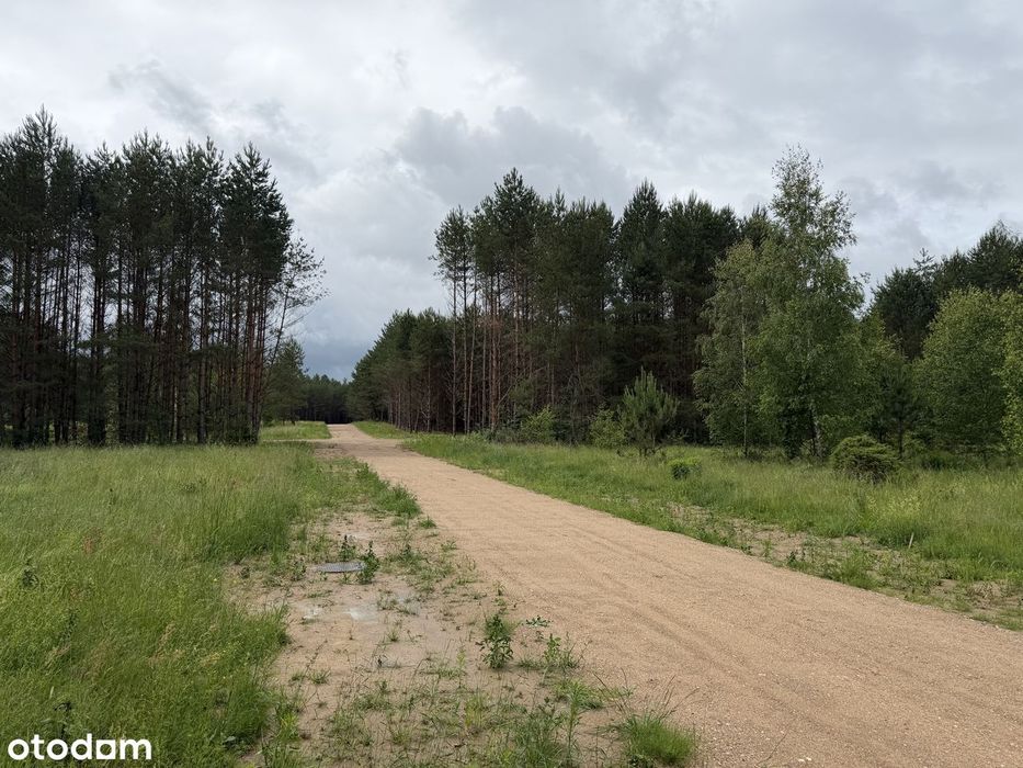 Łuka Stary Dwór - przy Zalewie Siemianówka - działka letniskowa 800 m2