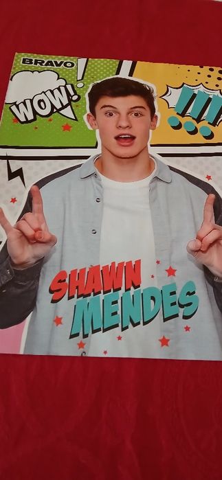 Poster Shawn Mendes, novo