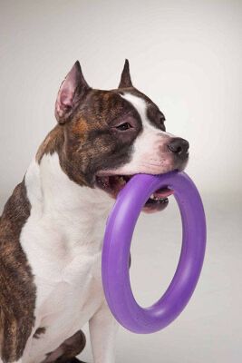 Тренувальний снаряд Puller