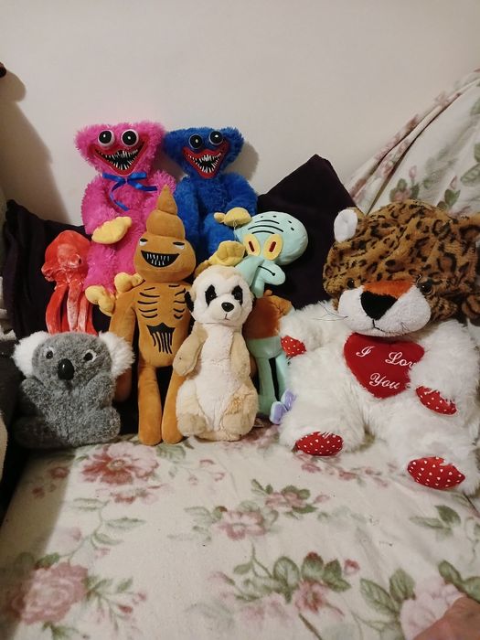 Безкоштовно відам м'які звірі