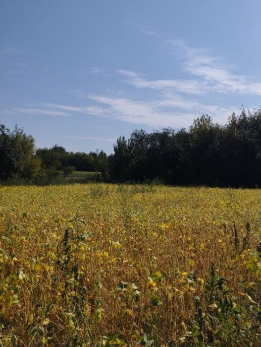 Продаж хорошого будинку в центральній частині с. В'язівок
