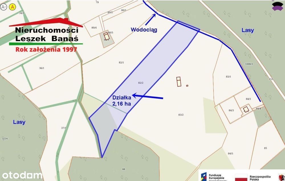 Działka granicząca z lasem - Widok 2