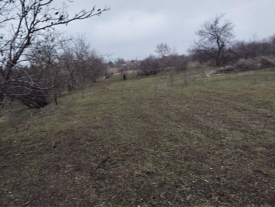 Дом участок Лозоватка 6 квартал возле води