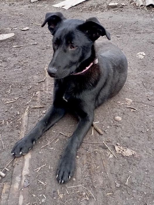 Допоможіть мені знайти родину!
