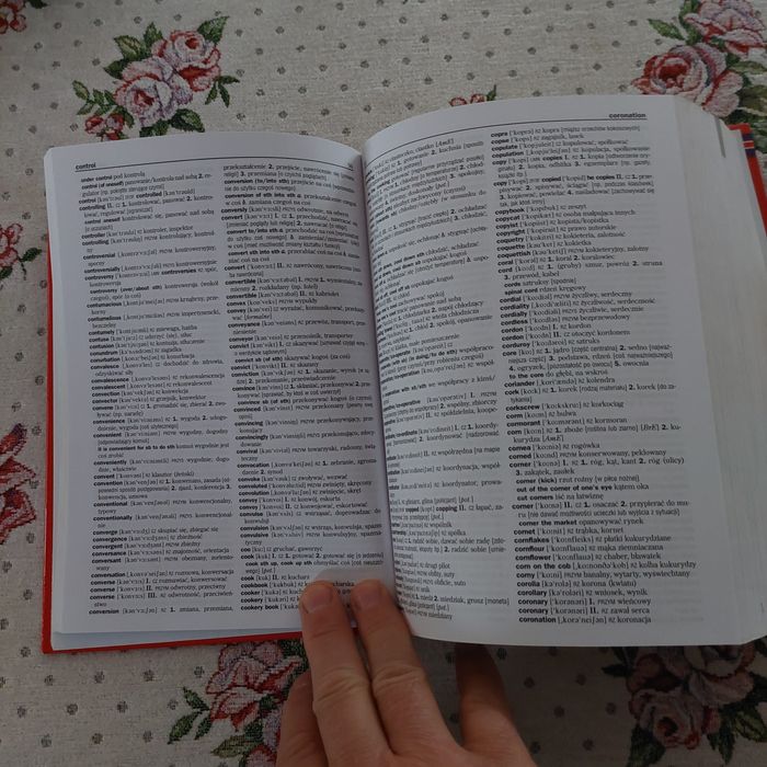 Słownik Angielsko-polski i polsko-angielski z gramatyką