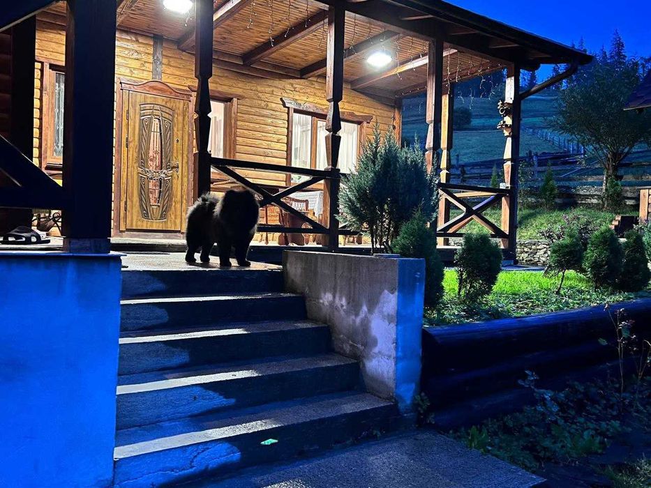 Продаж унікального будинку в серці Карпат- смт.Ворохта