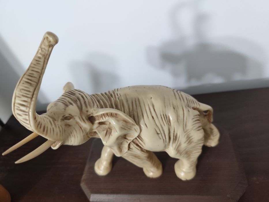 Elefante em Marfinite.