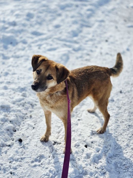 Meggy wyjątkowa sunia