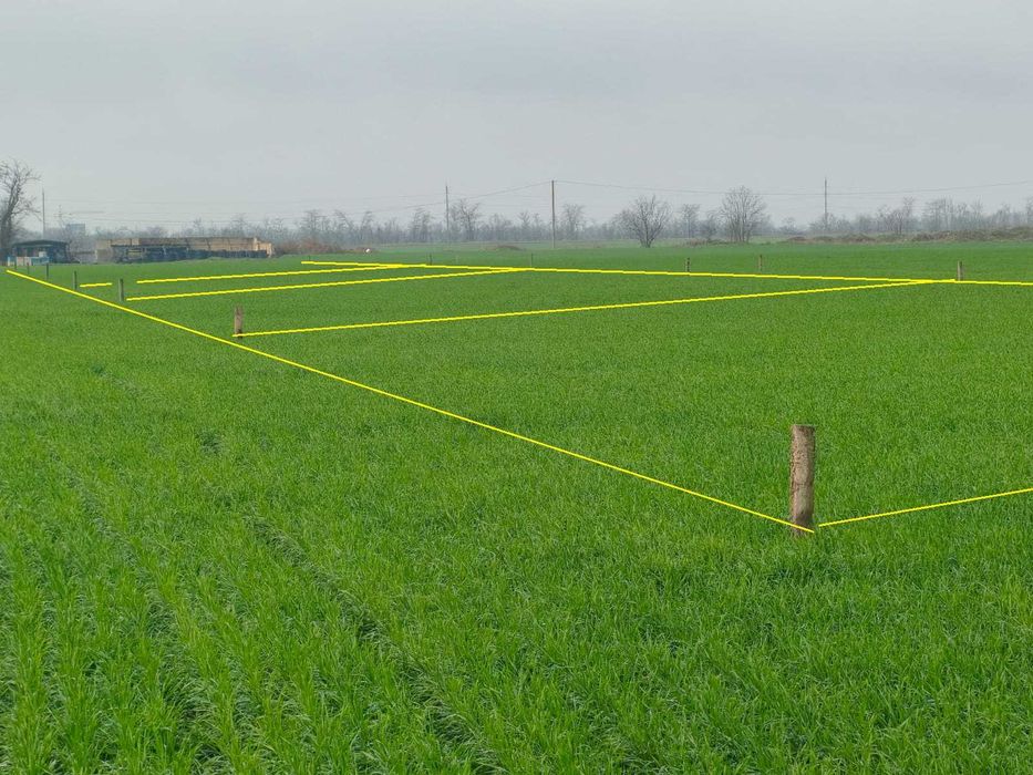 5 соток , Червоный Хутор / Черноморка. Морской воздух