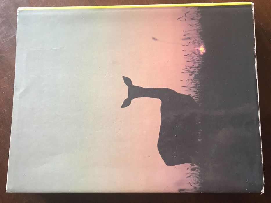 Album Łowiectwo 528 stron