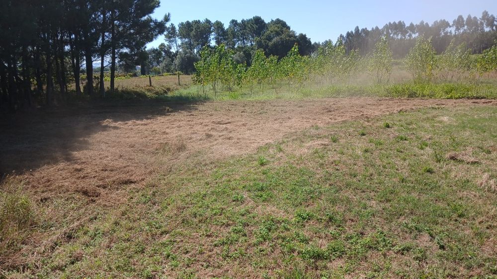 Terreno para construção