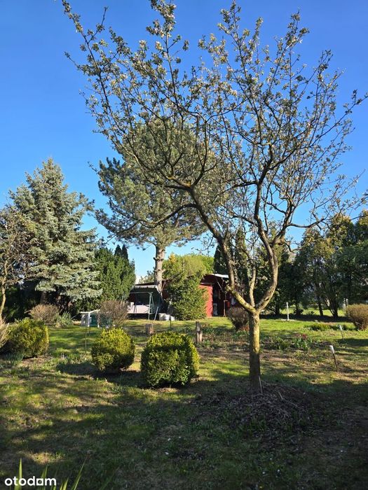 Działka budowlana w Białołęce, ogrodzona - Widok 3