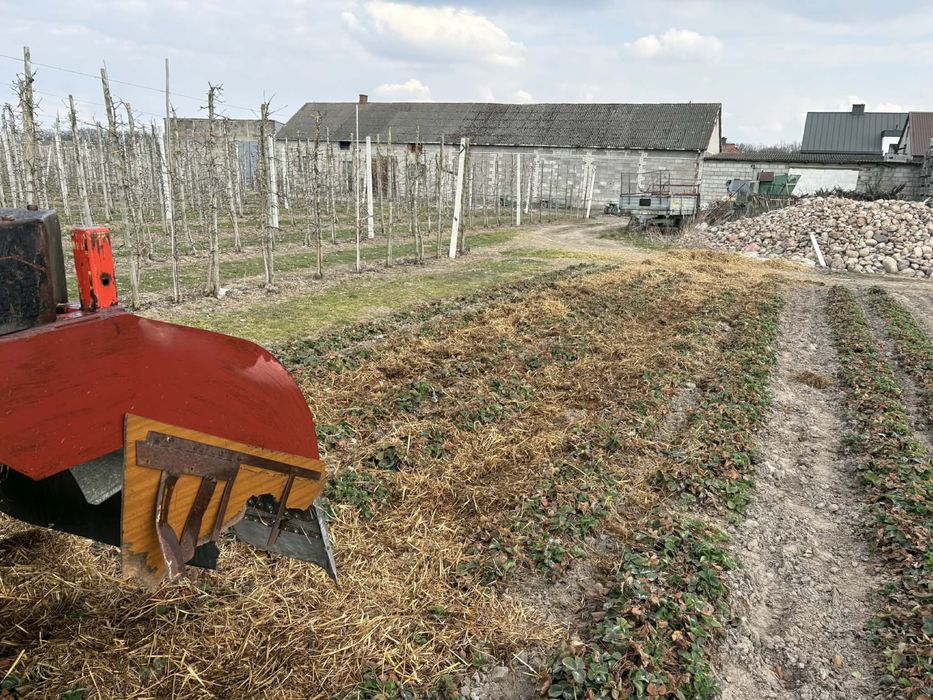 Scielarka słomy do truskawek