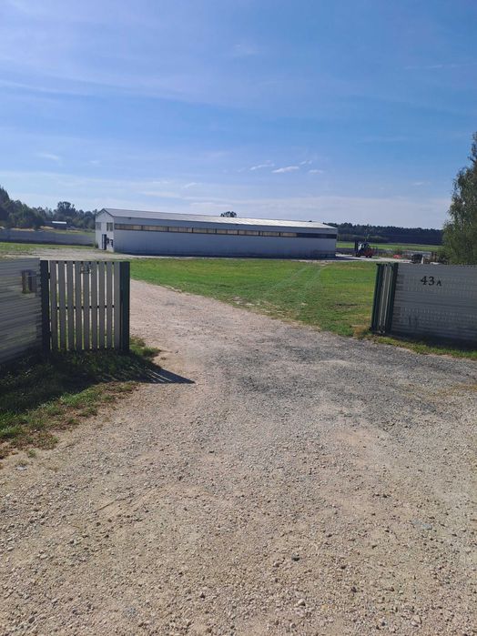 Hala magazynowa wynajem