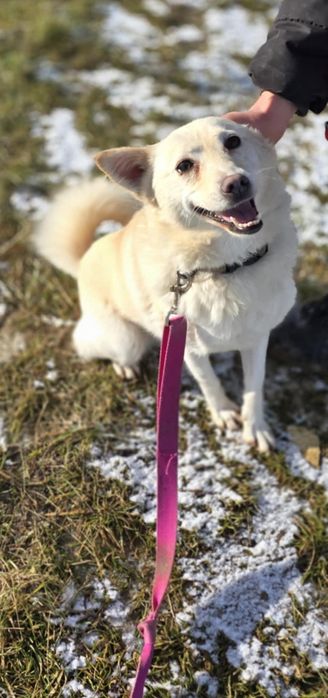 Amur i Bianca szukają wspólnego domu