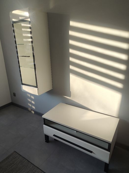 Szafka RTV i witryna