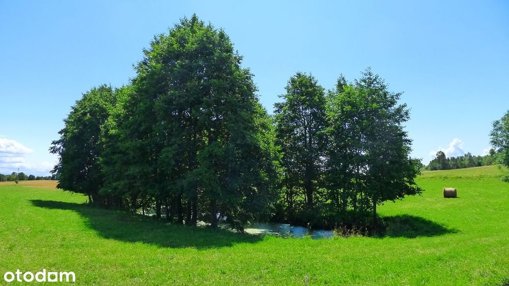 Suwałki - działki budowlane nad jeziorem