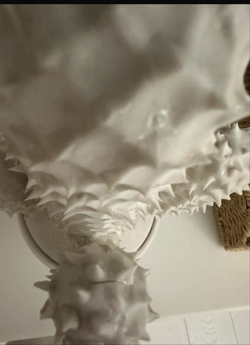 Kaktus riviera maison