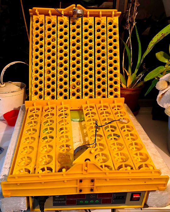 Chocadeira com viragem automática 48 ovos