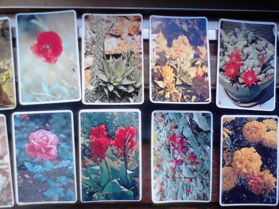 Coleção calendarios primavera, 1985