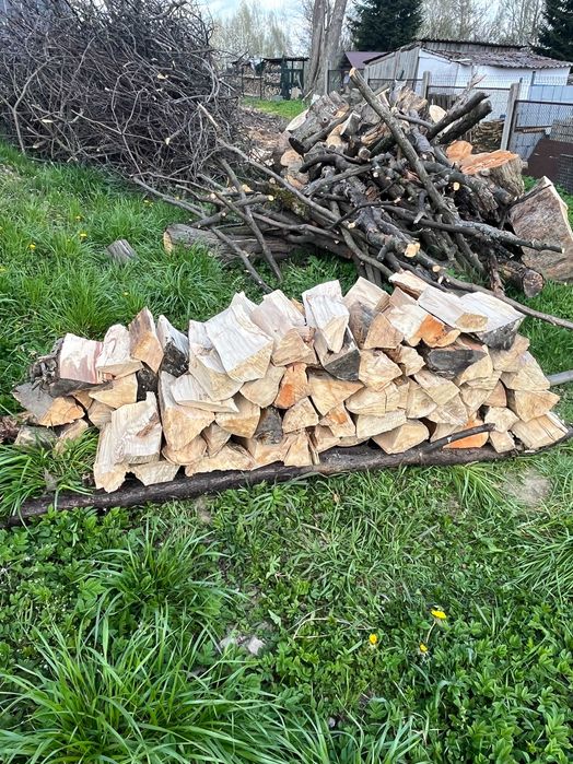 DREWNO OPAŁOWE sezonowane; klonowe oraz dębowe