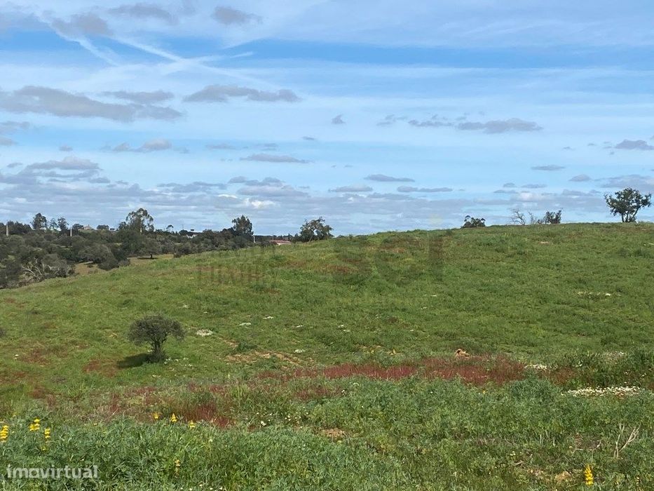 Terreno Rustico com Olival em Vila Nova de São Bento - Serpa