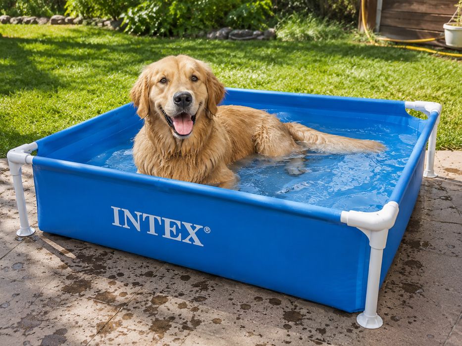 Дитячий каркасний басейн Intex 122×122×30 см 340 л квадратний / для собак