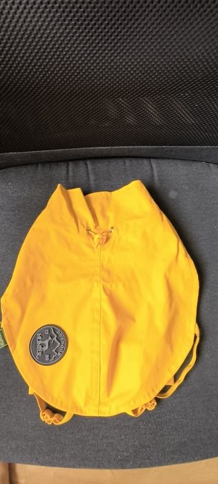 Roupa de chuva e mala para o cão