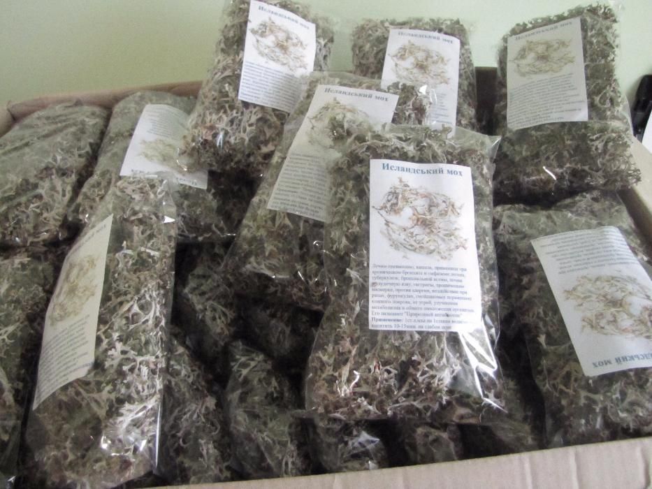 500грам ОПТ Ісландський мох Цетрарія ісландська ОПТ