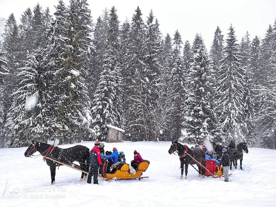 Ferie zimowe WILLI CHWOST – Góry, Relaks I Zimowe Atrakcje!