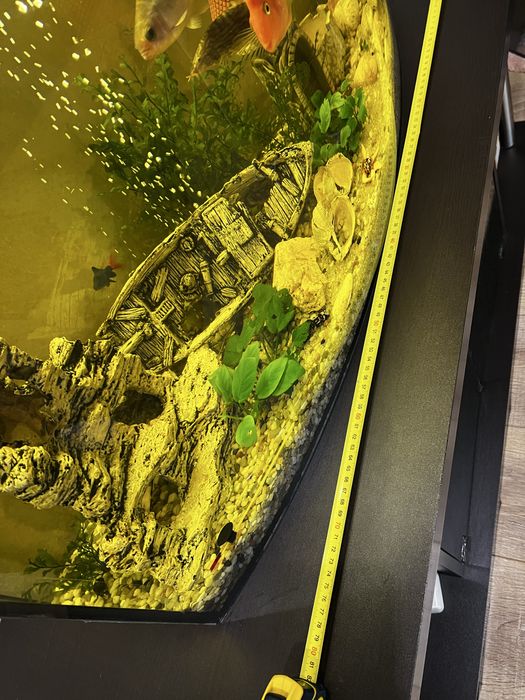 Акваріум 120л.  Рибки