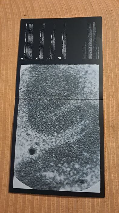 Black Bombaim – Titans