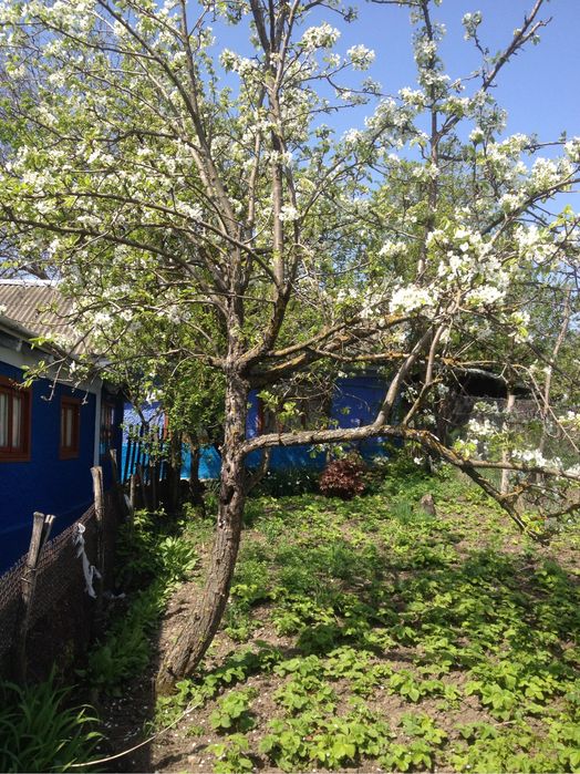 Продається хата дуже гарна