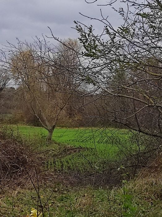 Земельна ділянка з будинком, Київська область.