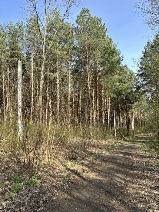 Ділянка 1 гектар в елітному районі Дмитрівки, ліс, асфальт, електрика