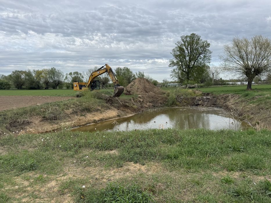 Koszenie trzcin odmulanie czyszczenie stawów i akwenów wodnych