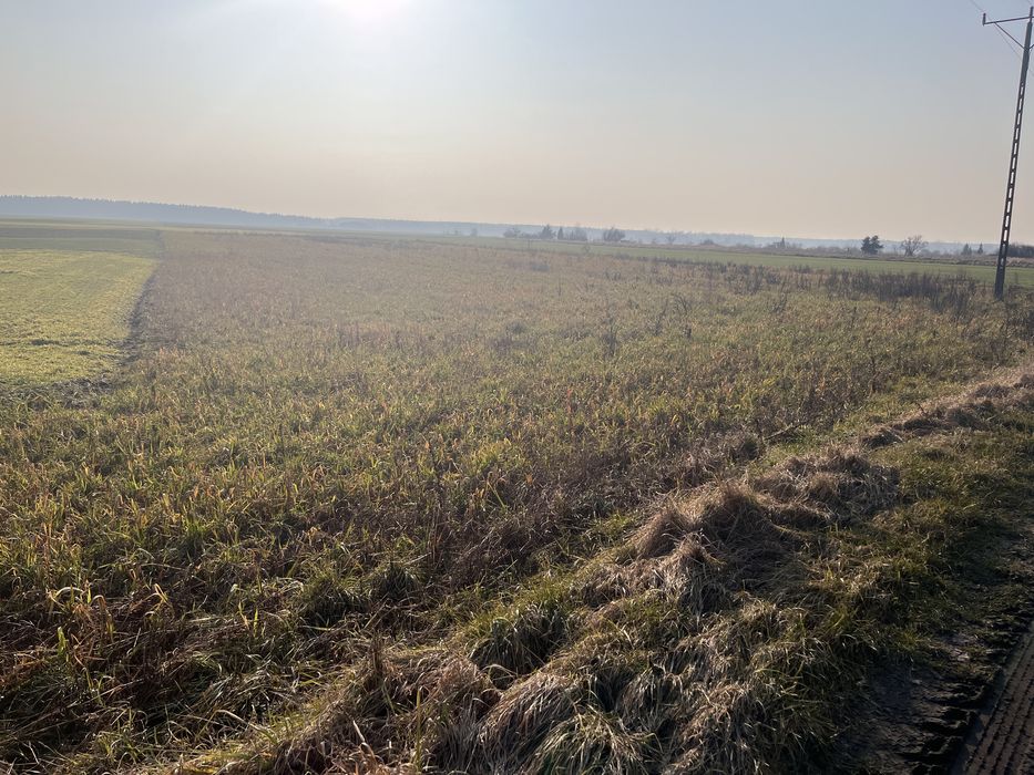 Działki  budowlane gaworzyce
