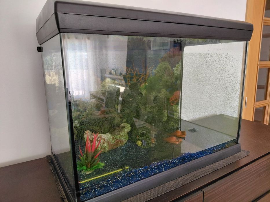 Aquário 60x30x45