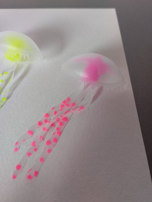 Medusas arteriais para aquário