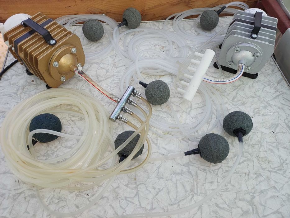 Комплект для содержания и выращивания криветки Розенберга