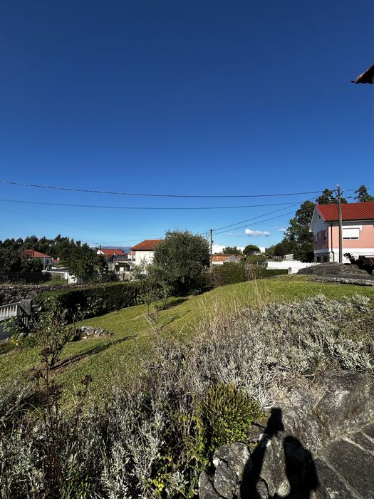 Serviços de jardinagem e limpeza de espaços verdes