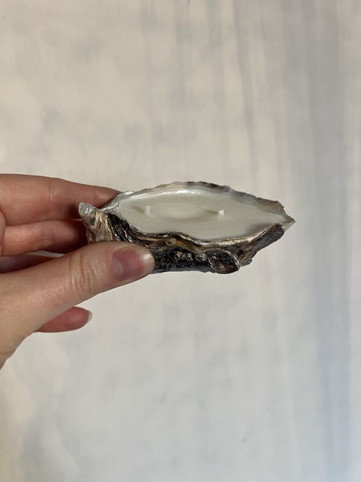 Мушлі устриць для свічок і декору