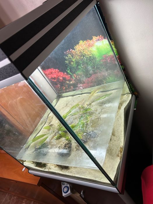 Aquario com móvel incluído