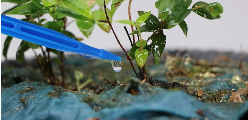 Крапельний полив