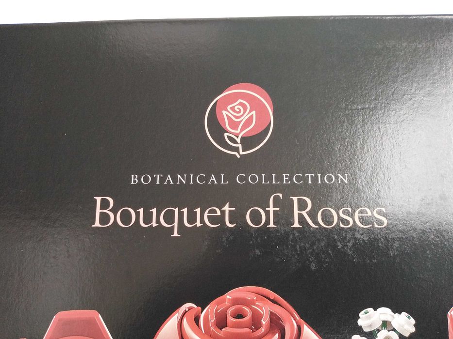 APENAS a Caixa VAZIA de Papel Set 10328 Lego