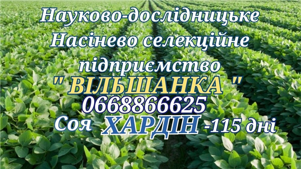 Насіння сої гмо Хардін