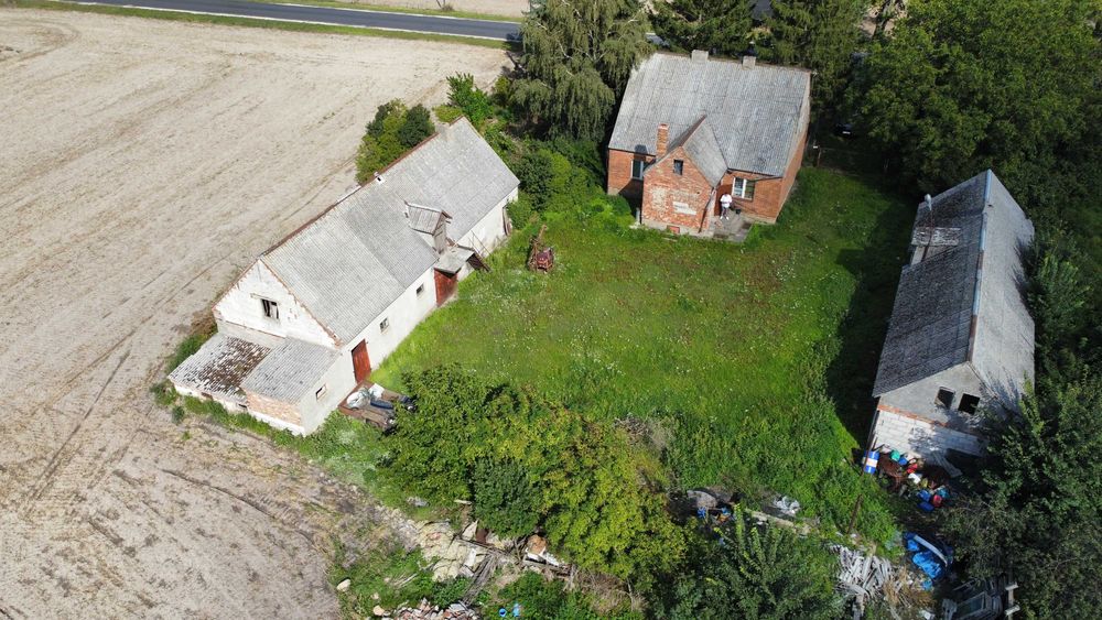 Siedlisko 3100 m² | Dom + budynki gospodarcze 250 m² | Łojewo