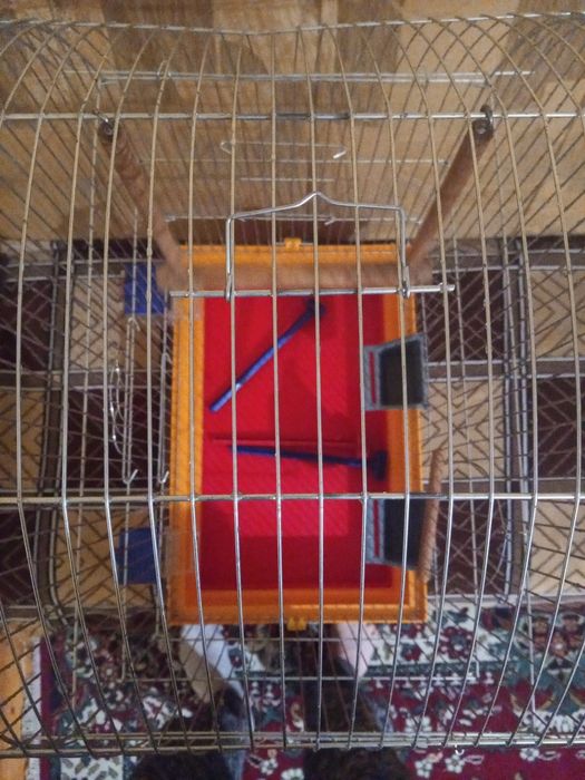 Клітка для птахів