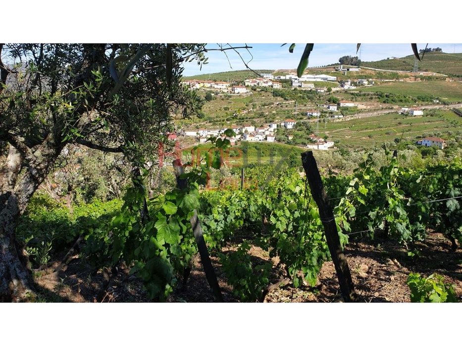 Quintinha para reconstrução