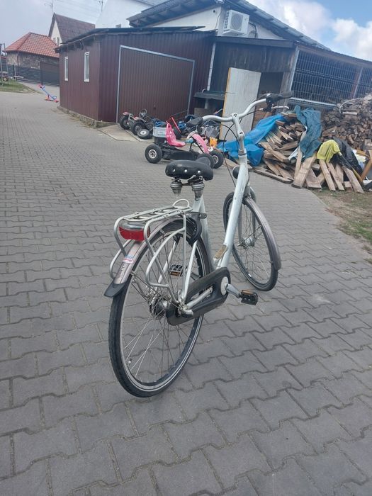 Rower holenderski Giant